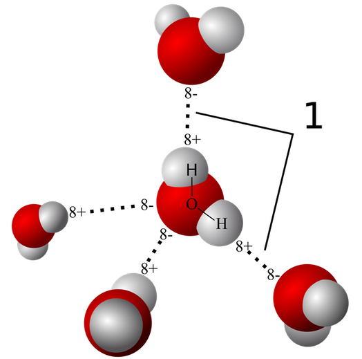 Model of Hydrogen bonds between molecuels of water (figure cs.wikipedia.org/Qwerter/CC-BY-SA 3.0)